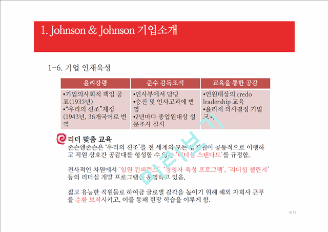Johnson & Johnson 기업소개,타이레놀 리콜 사rjs,존슨앤존슨의 타이레놀   (9 )